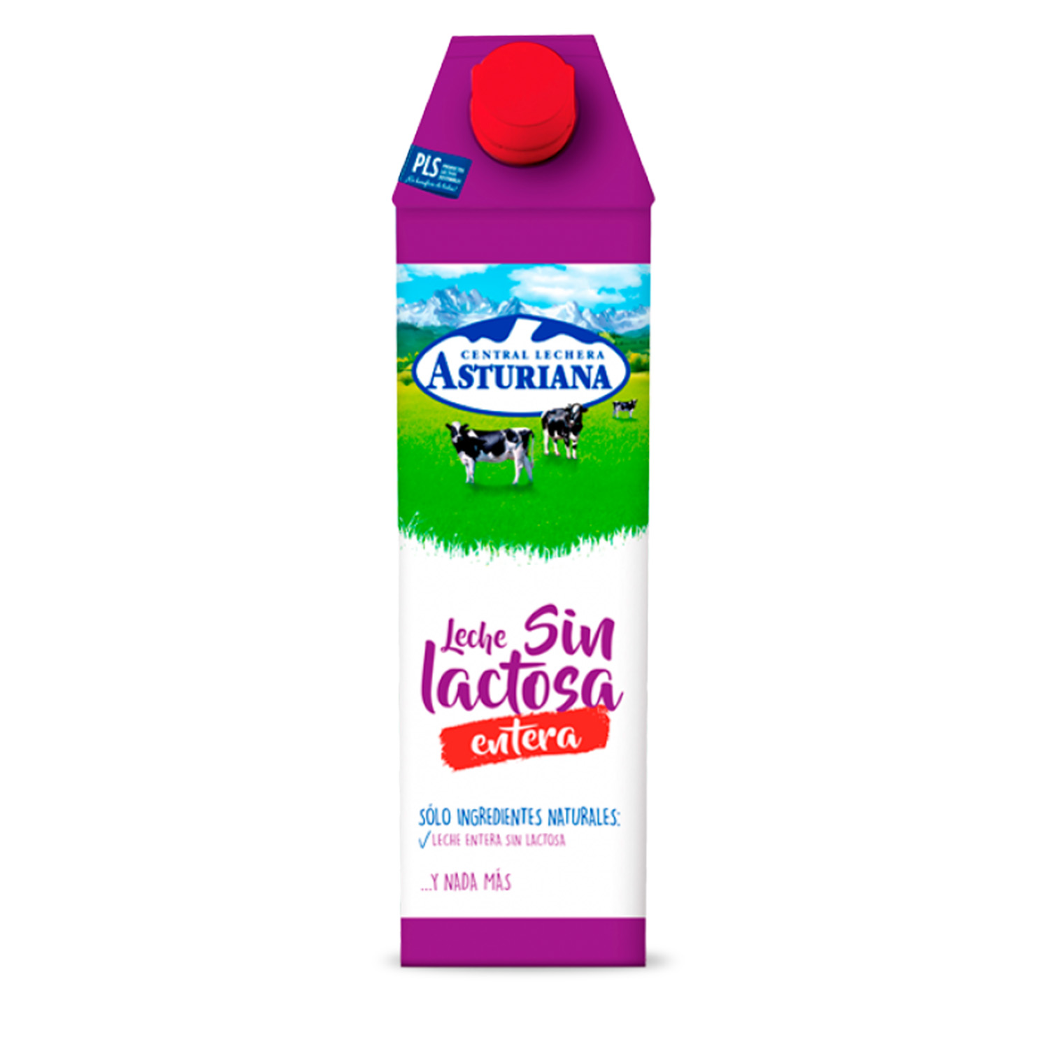 LECHE ASTURIANA SIN LACTOSA 1 LITRO 6 UDS